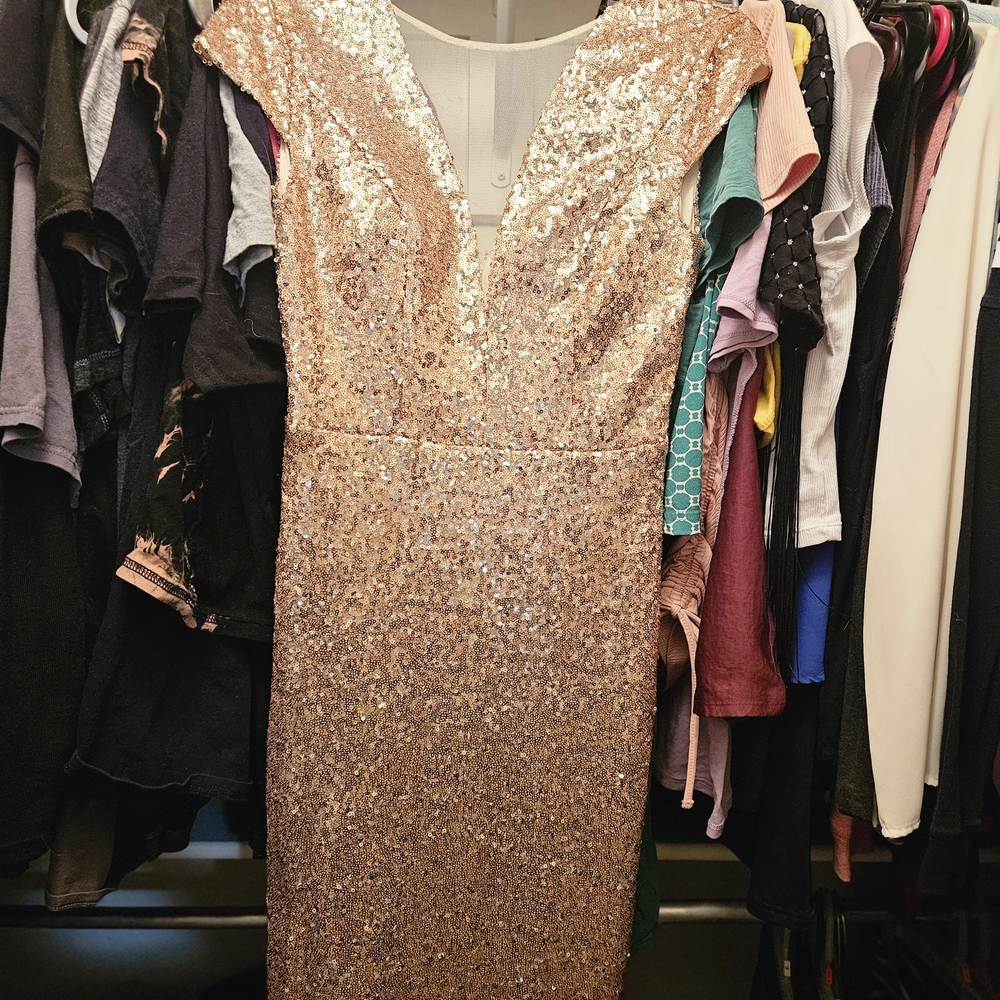 Bisou Bisou Glittering Gold Sequin Dress